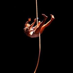 Meet your Posher, Jordie